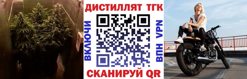 блэк спрут зеркало  Боготол  ТГК концентрат 